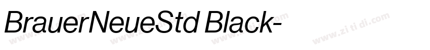 BrauerNeueStd Black字体转换